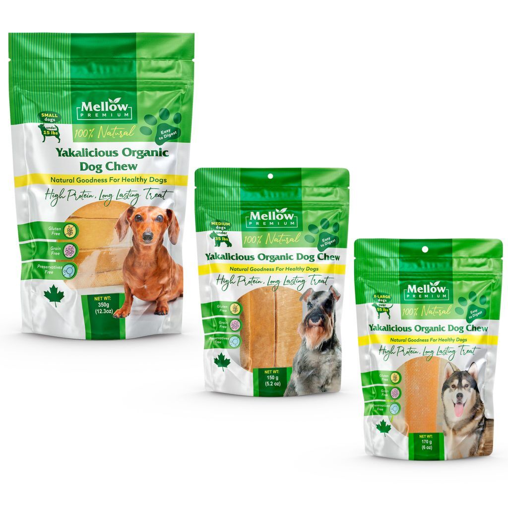 Yak Cheese for Puppies Organic 10 Mini Yak Dog Chew for Small Dogs